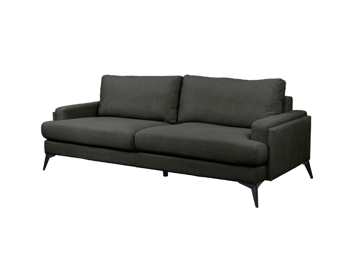 CARLTON 2 Seater Fabric Sofa